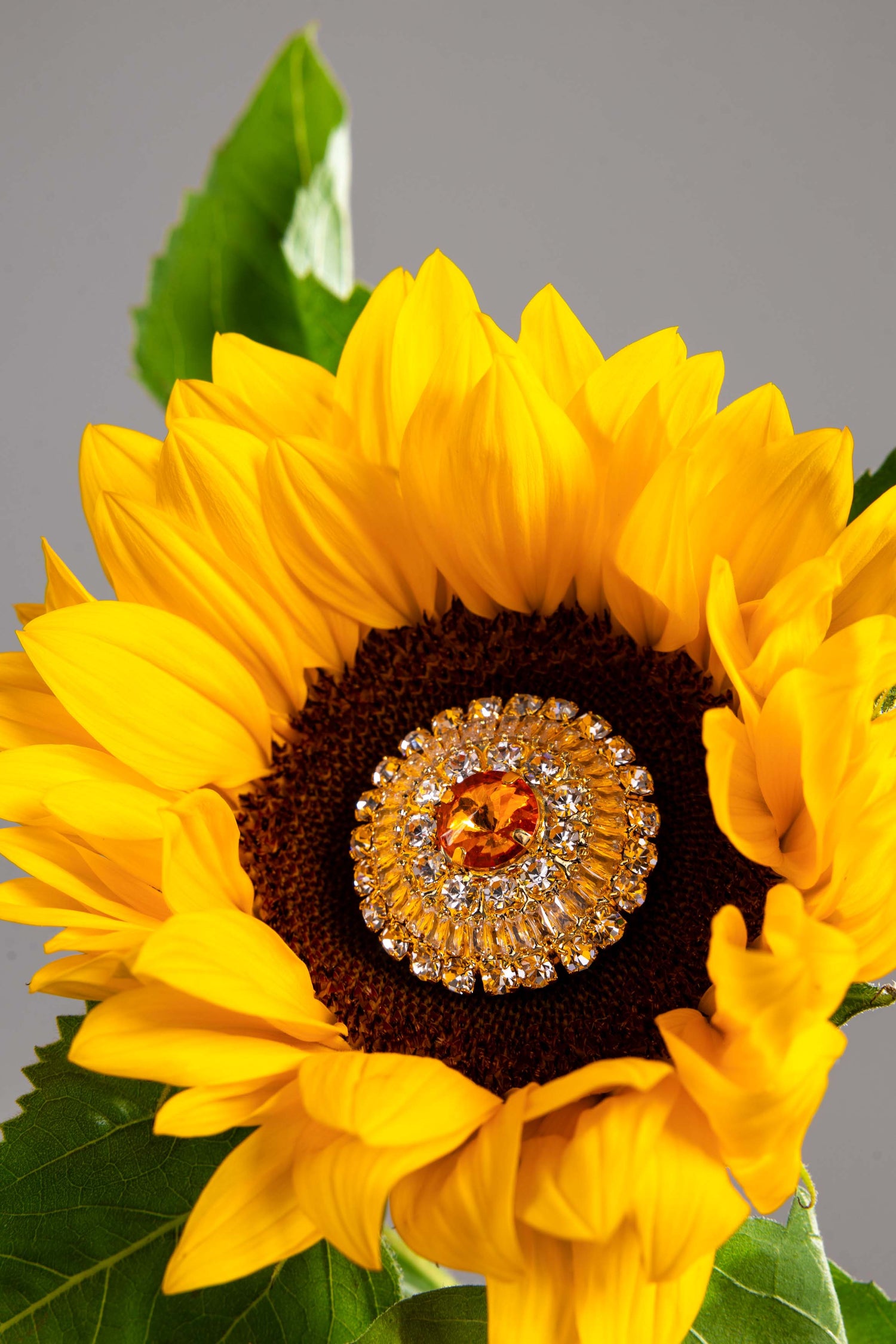 Orecchini Sole di Cristallo – Eleganza luminosa con dettagli preziosi